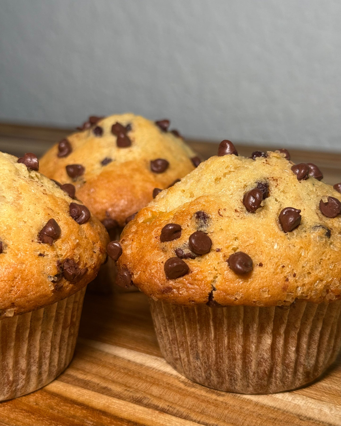 Sourdough Chocolate Chip Muffins